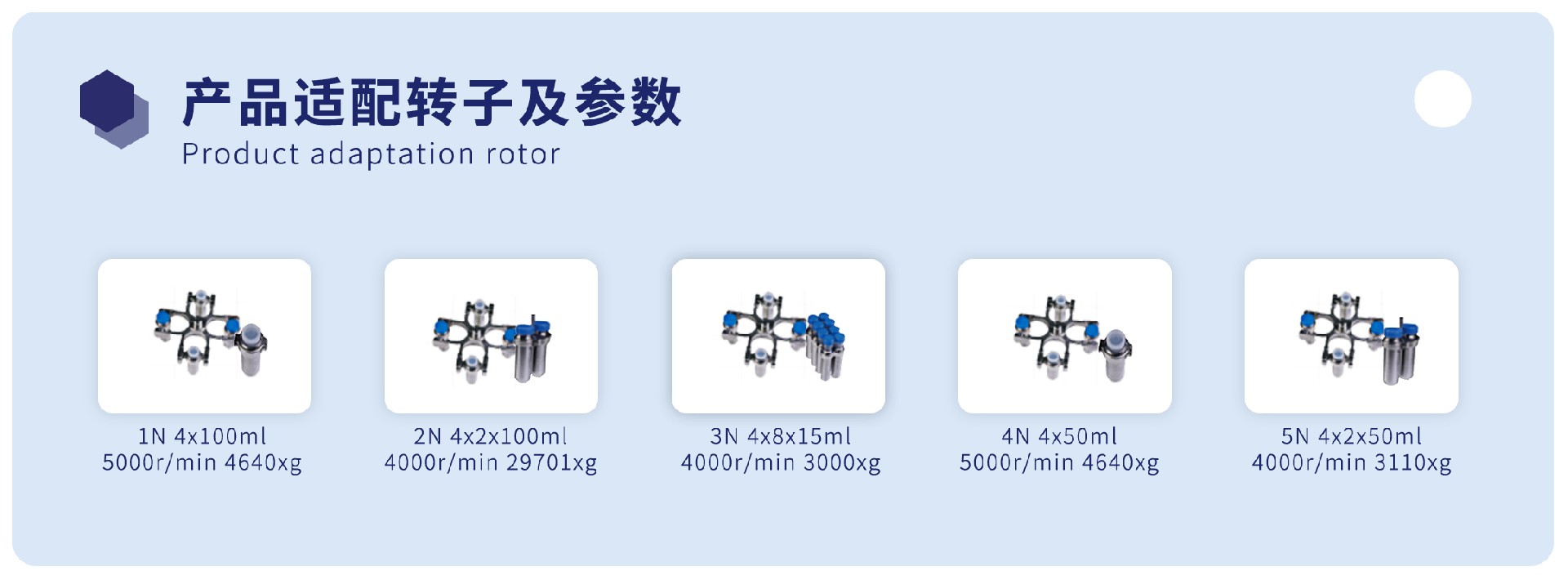 图层 19.jpg